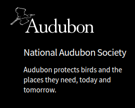 National Audobon Society logo