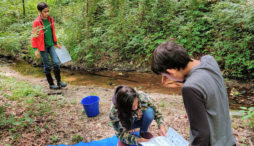 Kids working on a stream