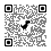 security patrol Paypal QR code