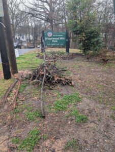more sticks piled for pickup